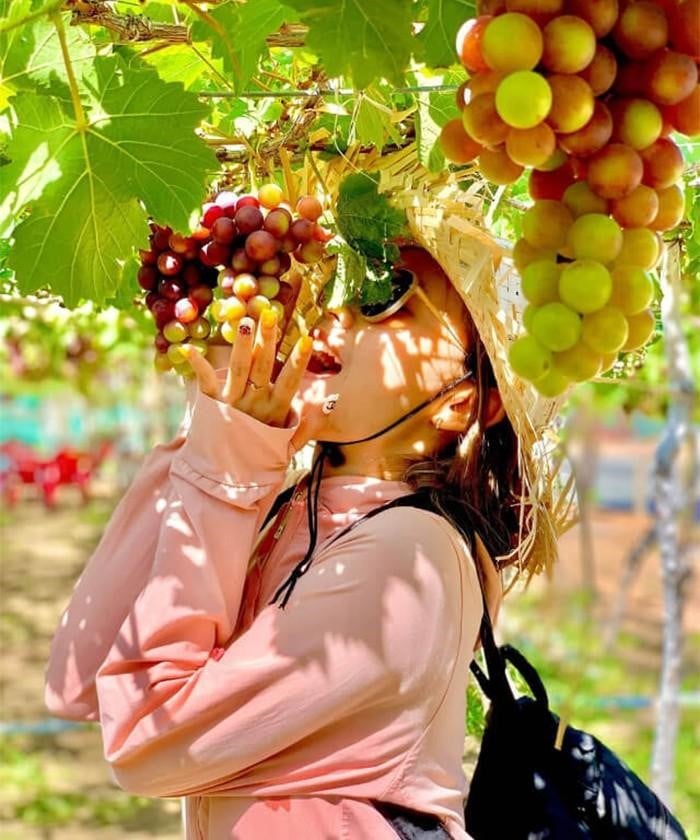 vuon-nho-ninh-thuan-04