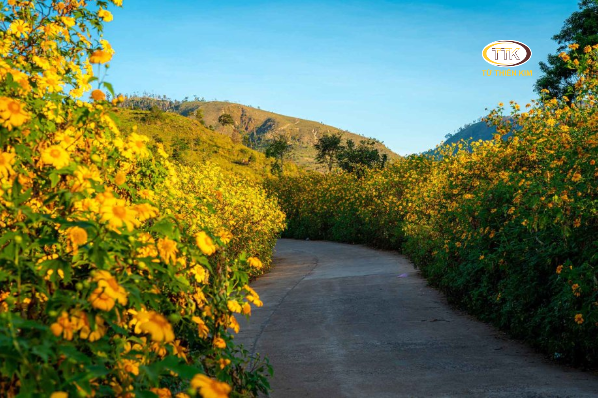 Thiết kế chưa có tên (19)